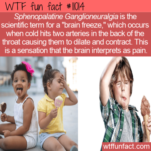 WTF-Fun-Fact-Brain-Freeze.png