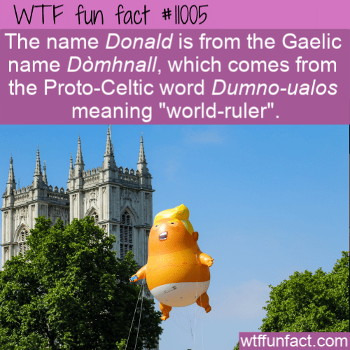 WTF-Fun-Fact-Donald-Ruler-Of-The-World.png