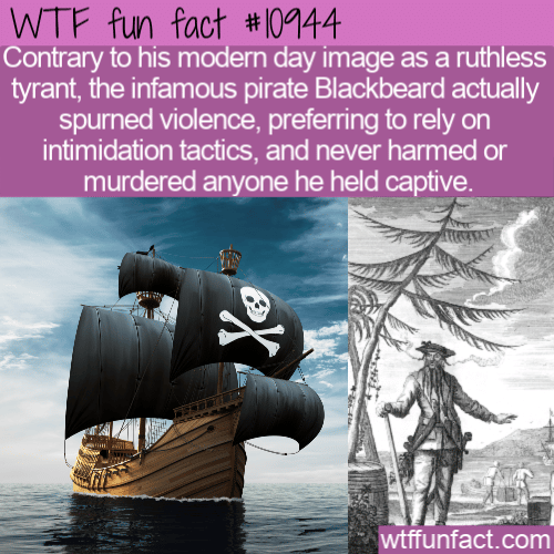 WTF-Fun-Fact-Gentle-Blackbeard.png