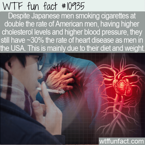 WTF-Fun-Fact-Japanese-Vs-US-Mens-Heart-Health1.png