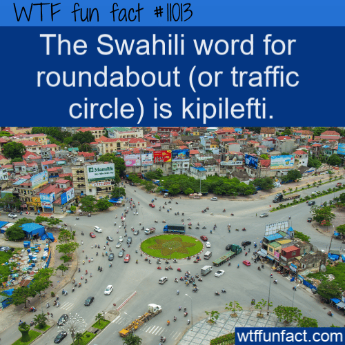WTF-Fun-Fact-Kipilefti.png