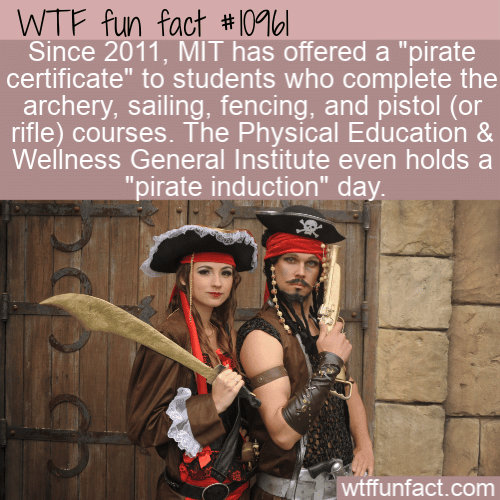 WTF-Fun-Fact-MITs-Pirate-Certificate.png