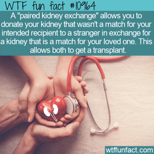 WTF-Fun-Fact-Paired-Kidney-Exchange.png