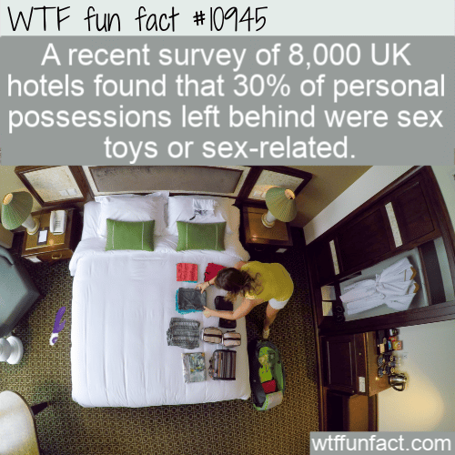 WTF-Fun-Fact-Sex-Toys-Left-Behind.png