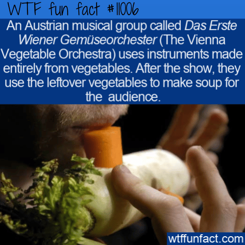 WTF-Fun-Fact-Vegetables-Can-Be-Used-For-Music-.png