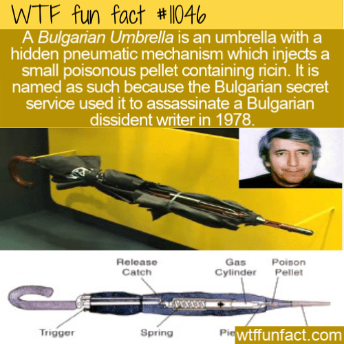 WTF-Fun-Fact-Assassin-Umbrellas.png