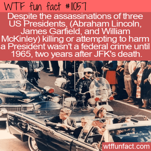 WTF-Fun-Fact-Assassination-Federal-Crime.png