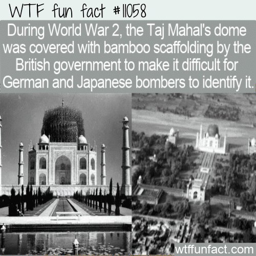 WTF-Fun-Fact-Bamboo-Covered-Taj-Mahal.png