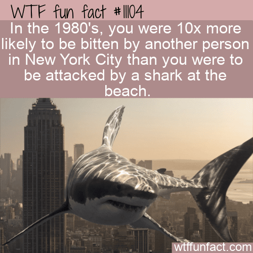 WTF-Fun-Fact-Bitten-By-A-Shark-Or-Human-1.png
