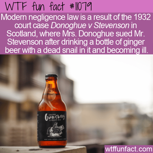 WTF-Fun-Fact-Dead-Snail-In-A-Beer.png