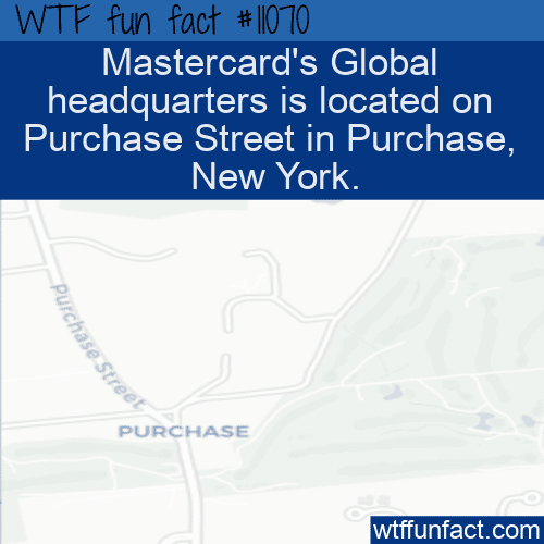 WTF-Fun-Fact-Mastercard-HQ.png