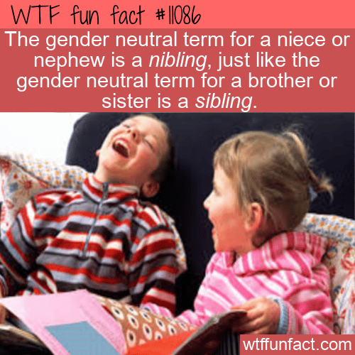 WTF-Fun-Fact-Nibling-Sibling.png