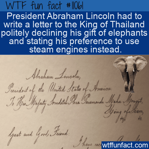 WTF-Fun-Fact-No-Elephants-For-US.png