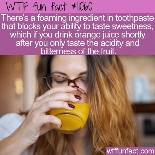WTF-Fun-Fact-OJ-And-Toothpaste-1.png