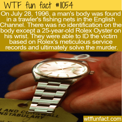 WTF-Fun-Fact-The-Rolex-Murder.png
