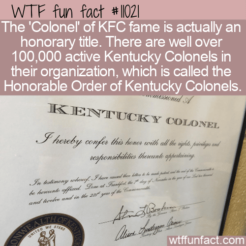 WTF-Fun-Fact-Title-For-KFC.png
