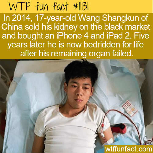 WTF-Fun-Fact-Kidney-For-An-Iphone-Ipad.png
