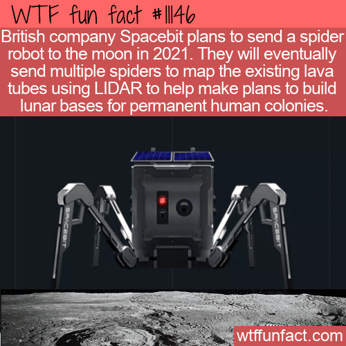 WTF-Fun-Fact-Spider-Robots-On-The-Moon.png