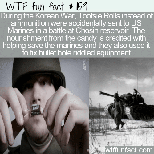 WTF-Fun-Fact-Tootsie-Rolls-Saved-Marines-2.png
