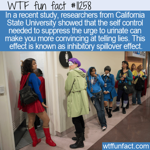 WTF-Fun-Fact-Having-To-Pee-Makes-You-A-Better-Liar.png