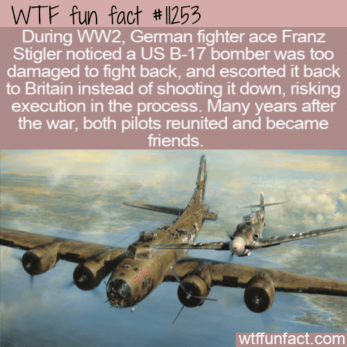 WTF-Fun-Fact-WW2-A-Code-Of-Honor.png